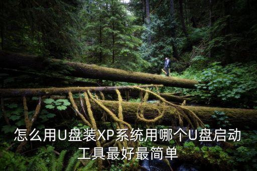 u盤操作系統 xp系統軟件